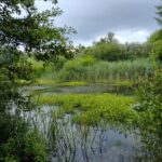 Flanders Day Tour with Turnhout, Hoogstraten & Kasterlee - Visiting Turnhout’s 12th-Century Castle of the Dukes of Brabant