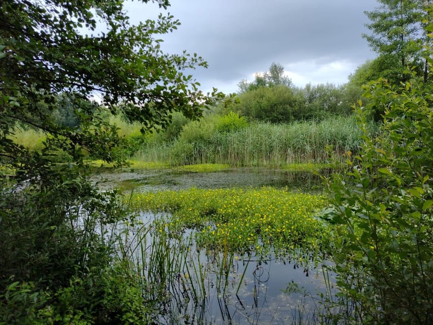 Flanders Day Tour with Turnhout, Hoogstraten & Kasterlee - Visiting Turnhout’s 12th-Century Castle of the Dukes of Brabant