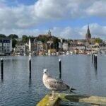 Flensburg: Running tour with insider tip guarantee - Starting Point at "Deutsches Haus" or Your Preferred Location