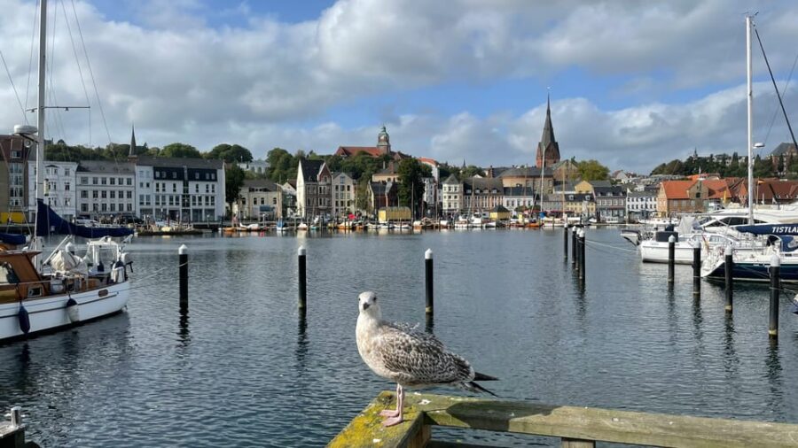 Flensburg: Running tour with insider tip guarantee - Starting Point at "Deutsches Haus" or Your Preferred Location