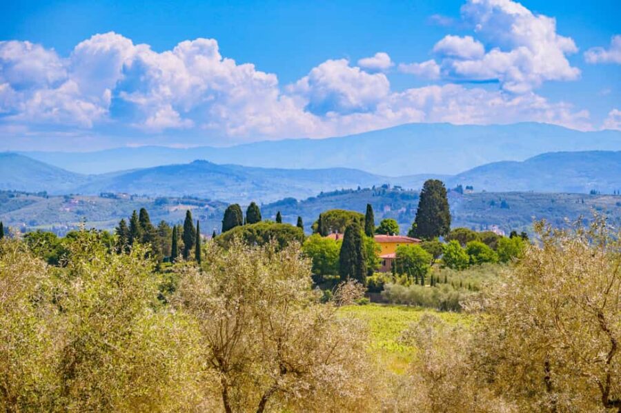 Florence: Chianti E-Bike Tour with Lunch & Two Wine Tastings - Starting Point at Florences CiaoFlorence Office