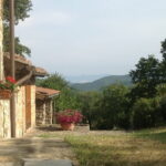 Florence Cooking Class in a Gorgeous Countryside Home with Maria - Exploring the Florence Market with Cristina