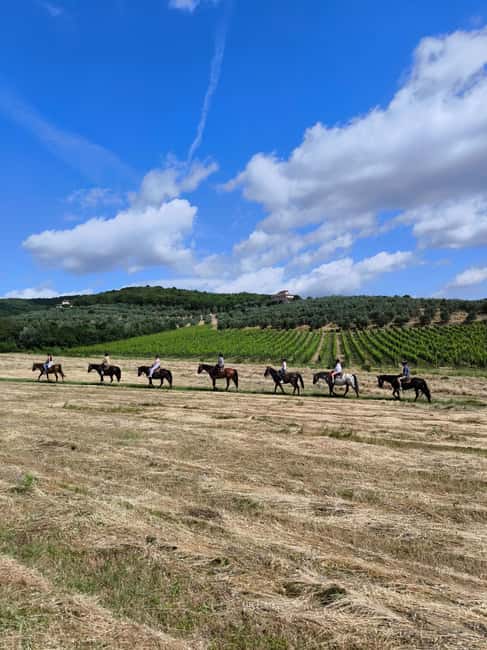Florence: Horseback Riding Tour with Wine Tasting & Transfer - Scenic Routes through Olive Groves and Vineyards