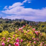 Florence: Pitti Palace and Boboli Gardens Guided Tour - The Entrance: Meeting at Palazzo Pitti