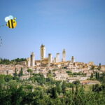 Florence: San Gimignano & Siena Tasting Experience - Starting Point and Transportation from Florence