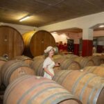 Florence: Secret of Wine and Cheese in a Winery - Exploring the Countryside Winery and Its Cellars