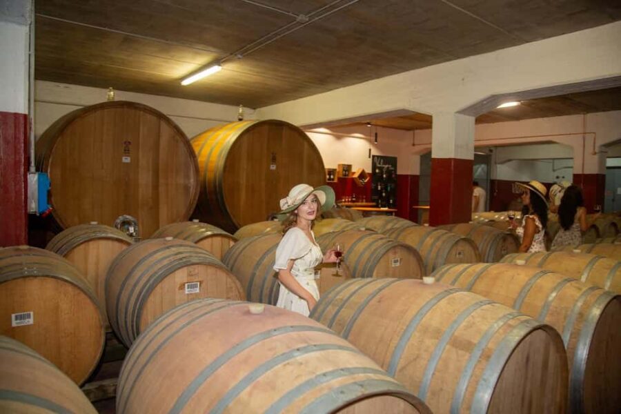 Florence: Secret of Wine and Cheese in a Winery - Exploring the Countryside Winery and Its Cellars