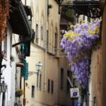 Florence Traditional Local Artisan Experience - Inside a Marbled Paper Studio: Creating Your Own Keepsake