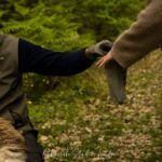 Florence: Truffle Hunting Tour with Lunch - The Starting Point in Mugello Valley