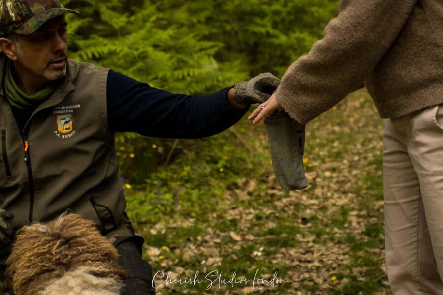 Florence: Truffle Hunting Tour with Lunch - The Starting Point in Mugello Valley