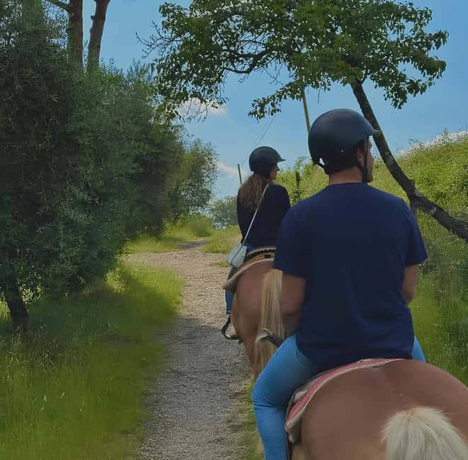 Florence: Tuscan Countryside Horseback Ride - The Horses and Equipment You’ll Use