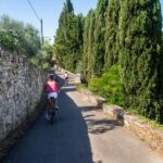Florence: Tuscany Bike Tour with Wine & Olive Oil - The Highlight Stop: A Tuscan Vineyard or Trattoria