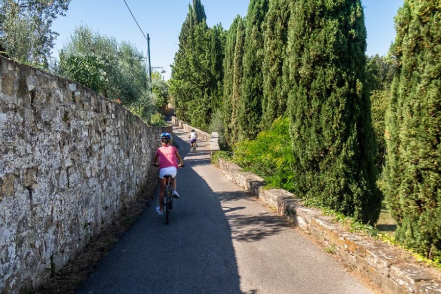 Florence: Tuscany Bike Tour with Wine & Olive Oil - The Highlight Stop: A Tuscan Vineyard or Trattoria
