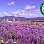 Florence Vespa Rental - Venturing into the Tuscan Countryside