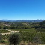 Florence: Vintage Fiat 500 Tour with Chianti Winery & Lunch - Starting in Florences Historic Center