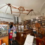 Florence: Visit to the Interactive Leonardo Da Vinci Museum - Discover the Museum’s Unique Layout and Highlights