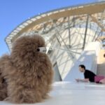 Fondation Louis Vuitton: Ticket Entry & Private Tour - Focus on the Temporary Exhibitions and Art Collection