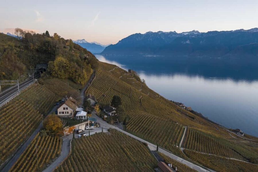 Fondue in the heart of the Lavaux vineyard - The Charm of Lavauxs UNESCO Vineyards in Epesses