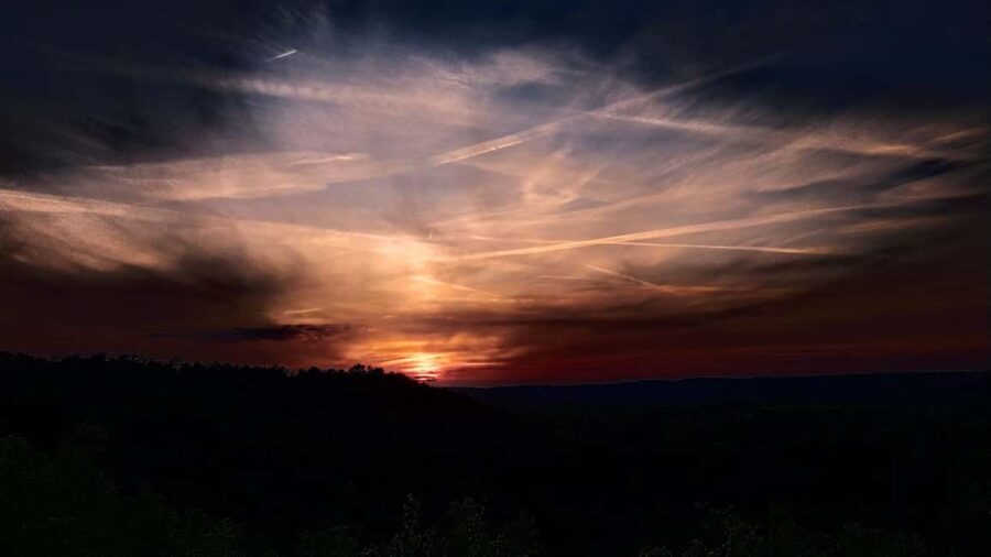Fontainebleau: Guided Night Hike - The Guided Night Hike Experience with DAVID-NATURE