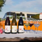 Fontefico: tour the winery and enjoy a guided tasting with local products - Touring Fontefico’s Organic Cellars and Vineyards