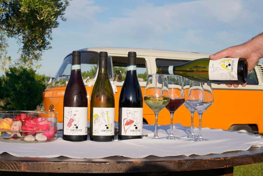 Fontefico: tour the winery and enjoy a guided tasting with local products - Touring Fontefico’s Organic Cellars and Vineyards