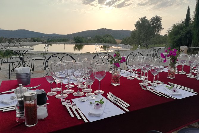 Food and Wine pairing Dinner at Karnas Vineyards Bodrum - Scenic Drive into Turkish Wine Country