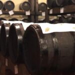 Food Tour: Parmigiano, Balsamic, Red Wine, lunch,transport - Starting Point and Transportation Comfort in Bologna