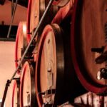 Food&Wine Tour to the discovery of Historical Casa Paladin - The Guided Tasting of Signature Wines and Local Flavours