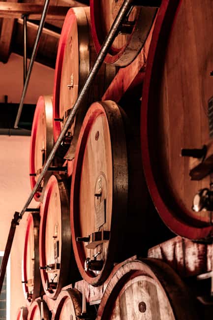 Food&Wine Tour to the discovery of Historical Casa Paladin - The Guided Tasting of Signature Wines and Local Flavours