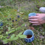 Forest Bathing in Stockholm nature with certified guide - What Makes This Forest Bathing Tour Unique in Stockholm