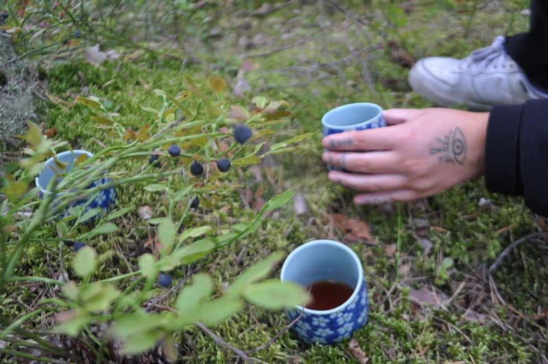 Forest Bathing in Stockholm nature with certified guide - What Makes This Forest Bathing Tour Unique in Stockholm