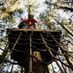 Forestal Park Tenerife Entrance Ticket - What the Activities in the Park Entail