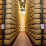 Formigine: Parmigiano tour with full tasting - The Family Business Atmosphere in Emilia-Romagna