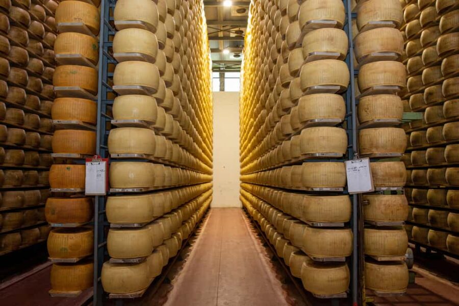 Formigine: Parmigiano tour with full tasting - The Family Business Atmosphere in Emilia-Romagna