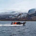 Fort William Speed boat adventure 90 minutes - Wildlife Encounters: Seals, Porpoises, and Birds on Loch Linnhe