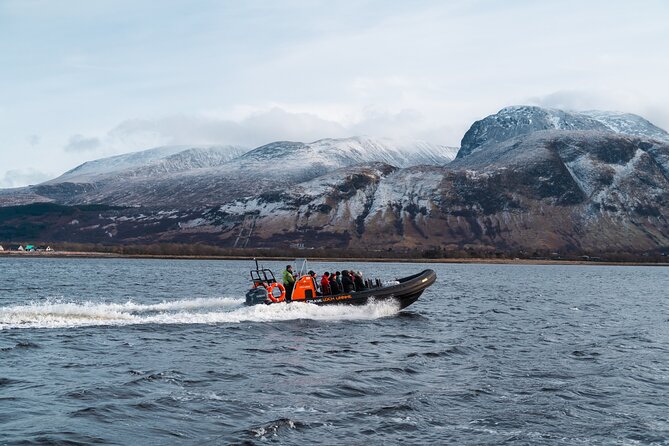 Fort William Speed boat adventure 90 minutes - Wildlife Encounters: Seals, Porpoises, and Birds on Loch Linnhe