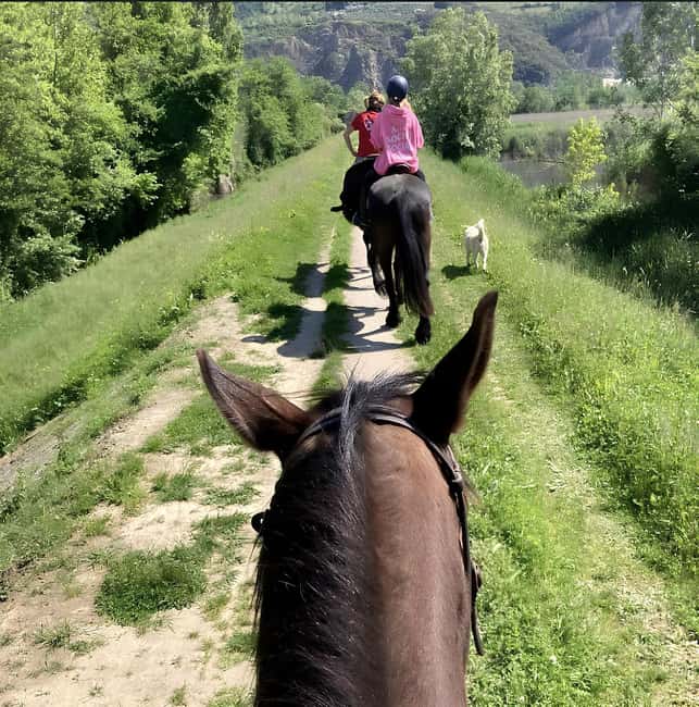 Forte dei Marmi: Horseback Riding Tour in Tuscany - Why Choose This Tuscany Horseback Ride