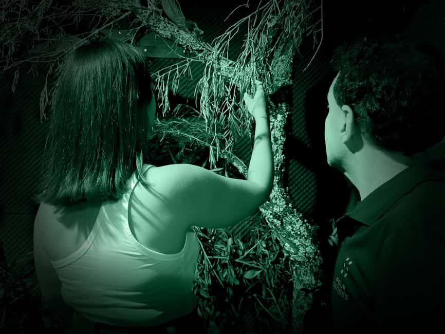 FOUR SENSES: The Immersive Experience in the Dark - Faro - Exploring Faro’s Sights in the Dark
