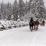Fram Kraków: Tatra Mountain Sleigh Ride in Zakopane - Walking Back in the Snow and the Overall Duration