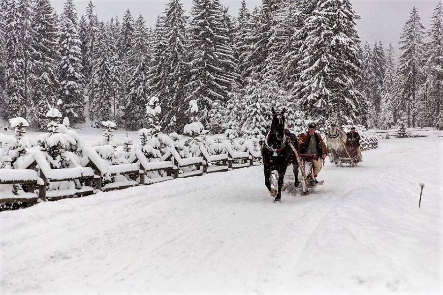 Fram Kraków: Tatra Mountain Sleigh Ride in Zakopane - Walking Back in the Snow and the Overall Duration