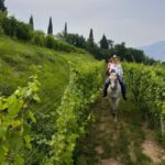 Franciacorta: Horseback Ride through Vineyards & Villages - Meet at Corte Franca for Scenic Horseback Riding Adventures