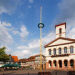 Frankfurt: Seligenstadt Old Town & Abbey Private Tour - Exploring Seligenstadt’s Old Town and Its Colorful Streets