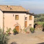 Frascati Day Tour: Road from Rome with Wine Tasting & Lunch - Key Points