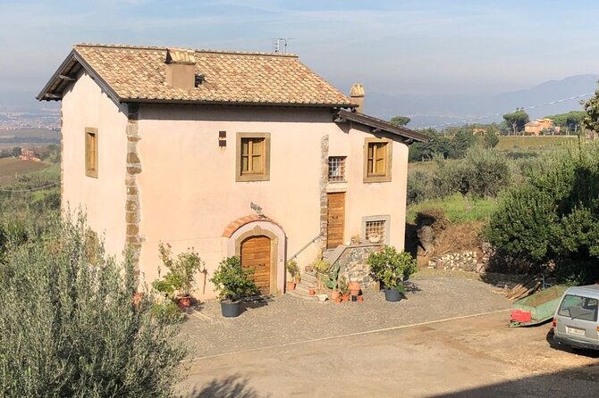 Frascati Day Tour: Road from Rome with Wine Tasting & Lunch - Key Points