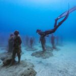 Freediving at Museum Atlantico - Cancellation Policy and Weather Considerations