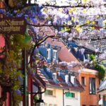 Freiburg: Gässle, Bächle and More City Tour - Exploring Freiburg’s Iconic Bächle and Gässle Alleys