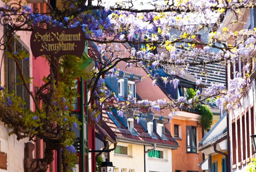 Freiburg: Gässle, Bächle and More City Tour - Exploring Freiburg’s Iconic Bächle and Gässle Alleys