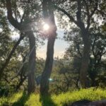 French Riviera : highlights & off the beaten path - Starting the Day with Scenic Coastal Drive and Beaulieu sur Mer