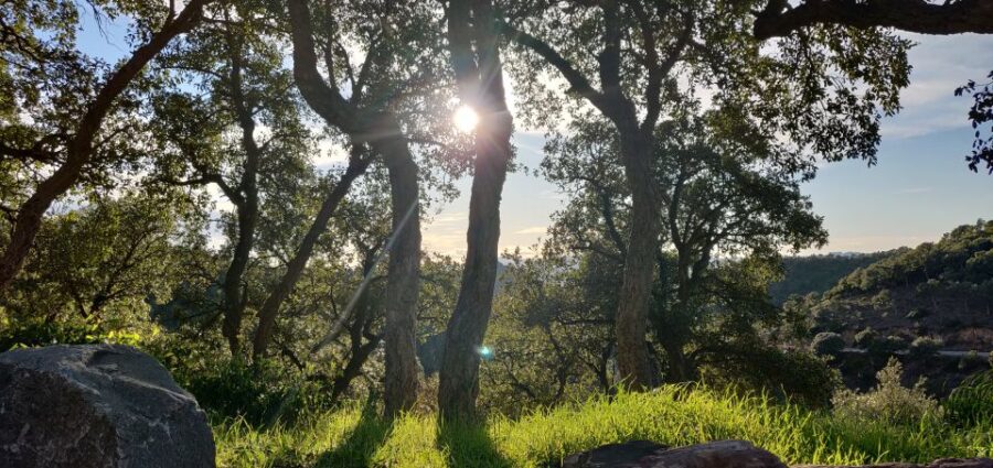 French Riviera : highlights & off the beaten path - Starting the Day with Scenic Coastal Drive and Beaulieu sur Mer