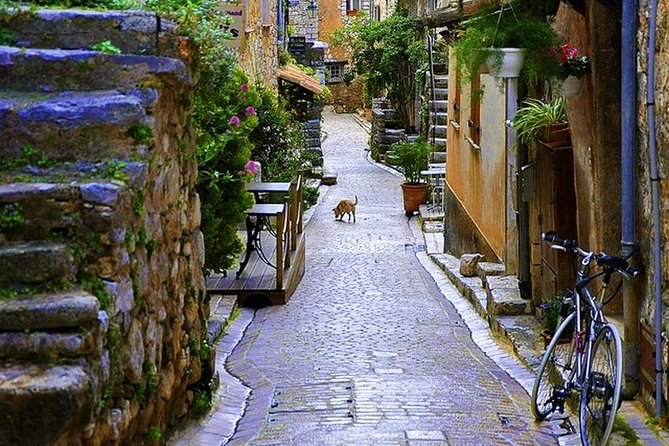 French Riviera & Medieval villages Full Day Private Tour - Visiting Cannes: The Film Festival and the Croisette